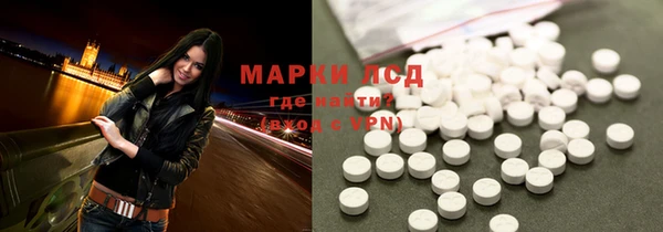 прущие грибы Мегион