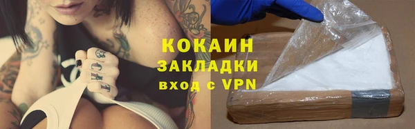 прущие грибы Мегион