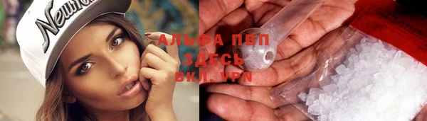 Альфа ПВП Медвежьегорск