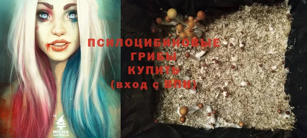 прущие грибы Мегион