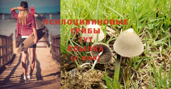 мефедрон Медногорск