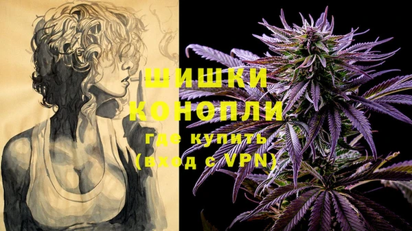 дмт Магас