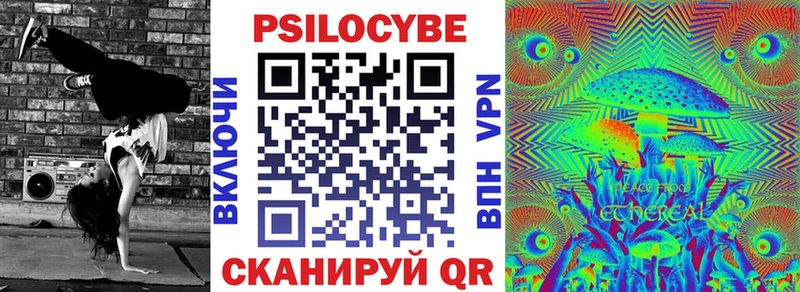 мега   Сертолово  Галлюциногенные грибы прущие грибы 
