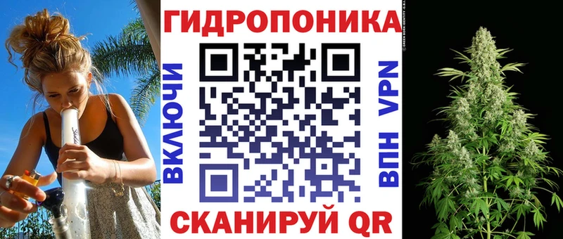 закладка  Сертолово  Конопля марихуана 
