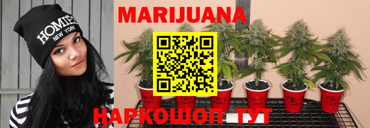 Марихуана планчик  Марихуана THC 21%  Каннабис VHQ  Сертолово  Канабис Bruce Banner 